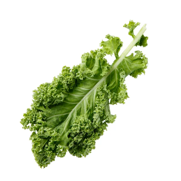 Fresh green organic kale leaf isolated on white. Top view. — Stock Photo, Image