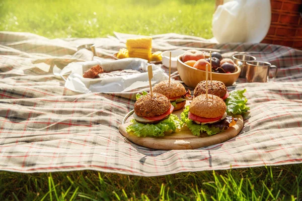 Piknik Hamburgerami Kukurydzą Ciastem Owocami Lemoniadą Zielonym Trawniku Letni Piknik — Zdjęcie stockowe