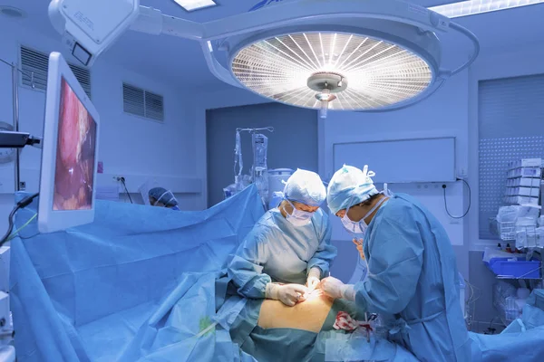Cerrahlar ameliyat tiyatro çalışma.