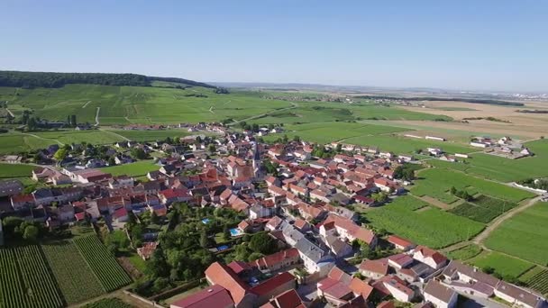 フランス、シャンパーニュ、フランス、シャンパン、モンターニュ ・ ド ・ ランスの地方公園、Chamery の空撮 — ストック動画