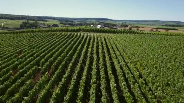 Fransa, şampanya, Sermiers havadan görünümü — Stok video