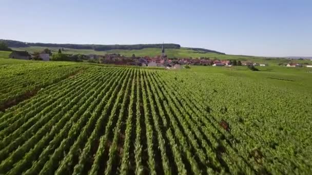 Francie, šampaňské, letecký pohled na Chamery 4k, — Stock video