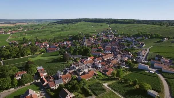 France, Champagne, Aerial view of Ville Dommange — Stock Video