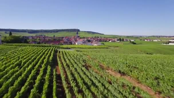 Fransa, şampanya, Chamery havadan görünümü — Stok video