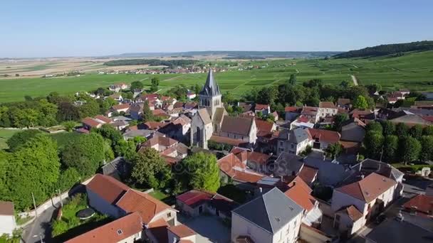 Γαλλία, σαμπάνια, εναέρια άποψη του Ville Dommange — Αρχείο Βίντεο