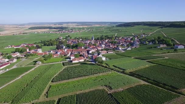 Francia, Champagne, Vista aérea de Ville Dommange — Vídeos de Stock