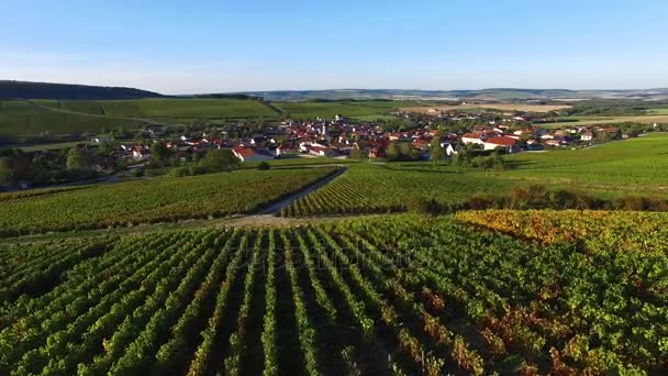 France, Champagne, Aerial view of Baroville, — Stock Video