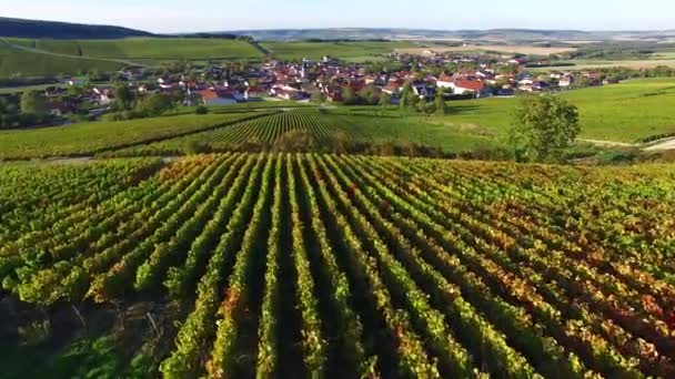 Frankrijk, Champagne, luchtfoto van Baroville, — Stockvideo
