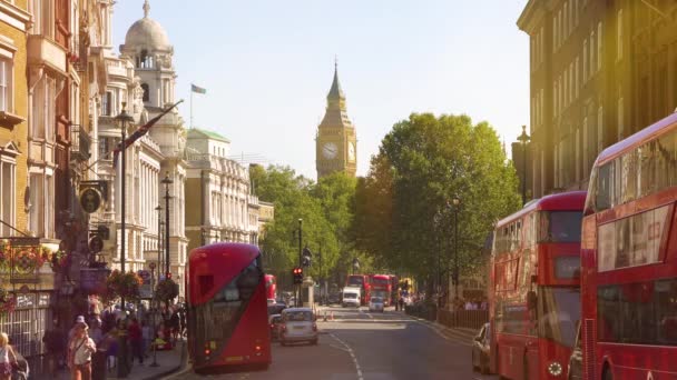 Londen, verkeer op Trafalgar square — Stockvideo