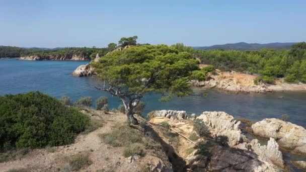 法国南部瓦尔省Bormes Les Mimosas附近的Cap Leoube海滩和Estagnol海滩的空中景观 — 图库视频影像