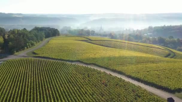 Champagne Vineys Havadan Görünüşü Les Riceys Aube Fransa Daki Cote — Stok video