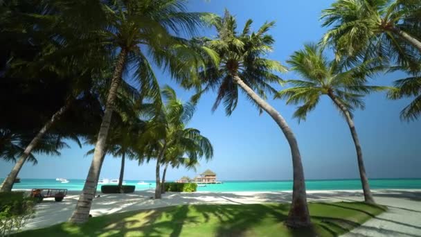Isola Tropicale Nelle Maldive — Video Stock