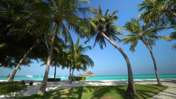 Isola Tropicale Nelle Maldive — Video Stock