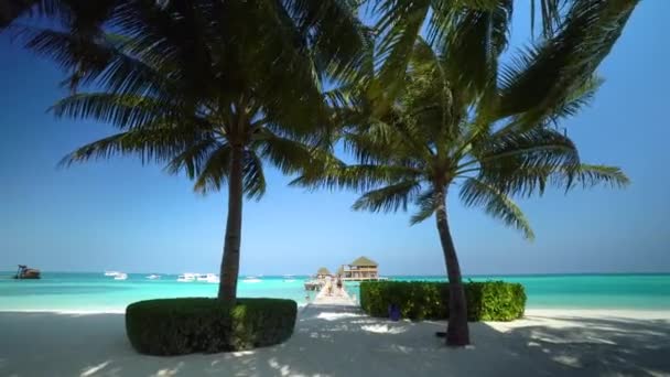 몰디브의 — 비디오