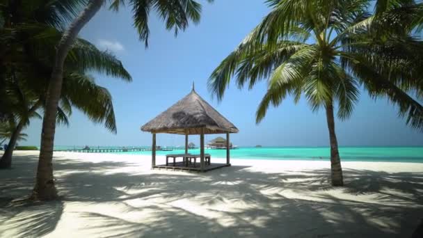 Ilha Tropical Nas Maldivas — Vídeo de Stock
