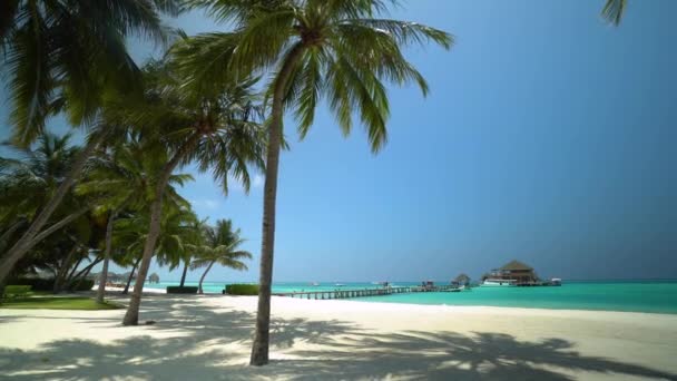 Isola Tropicale Nelle Maldive — Video Stock