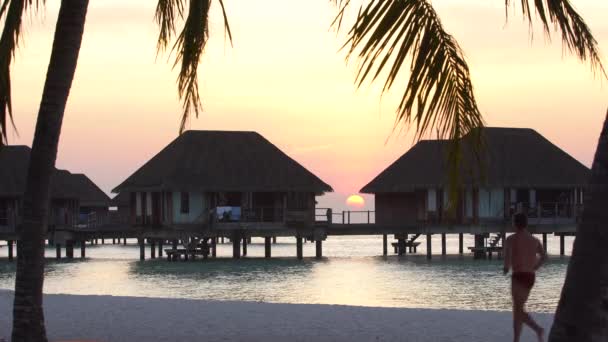 Ilha Tropical Nas Maldivas Pôr Sol — Vídeo de Stock