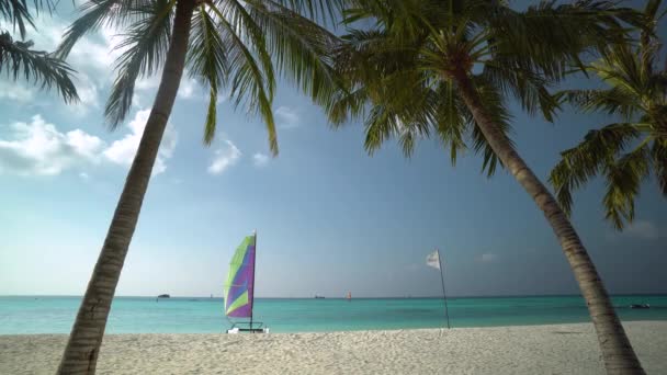 Τροπικό Νησί Στις Μαλδίβες — Αρχείο Βίντεο