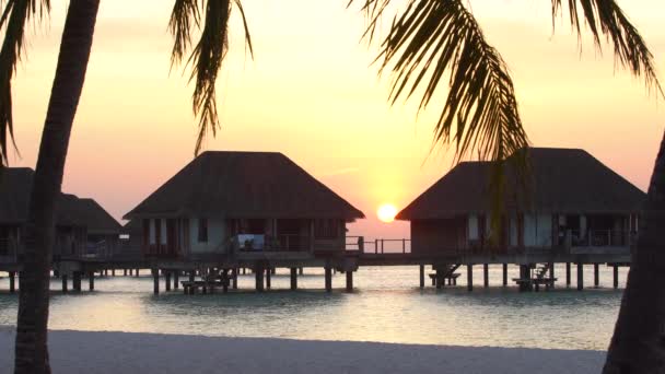 Ilha Tropical Nas Maldivas Pôr Sol — Vídeo de Stock