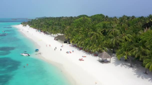 Αεροφωτογραφία Του Τροπικού Νησιού Στις Μαλδίβες — Αρχείο Βίντεο