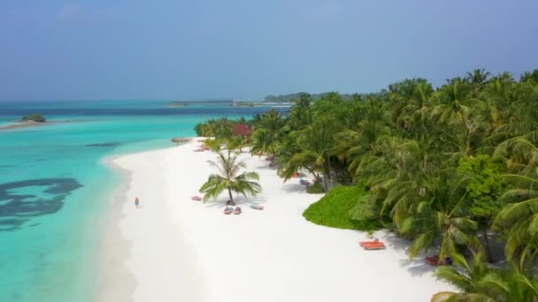 Vue Aérienne Une Île Tropicale Aux Maldives — Video