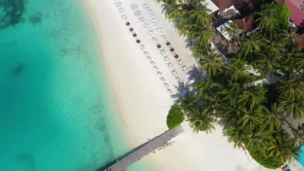 Vista Aérea Ilha Tropical Nas Maldivas — Vídeo de Stock