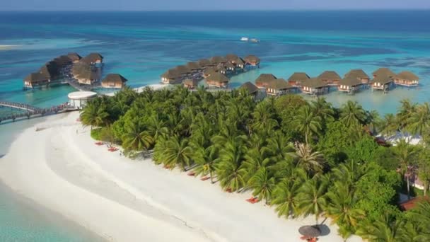 Luftaufnahme Der Tropischen Insel Auf Den Malediven — Stockvideo