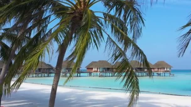 Maldivler Deki Tropikal Ada — Stok video