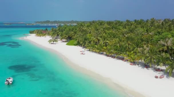 Vista Aérea Ilha Tropical Nas Maldivas — Vídeo de Stock