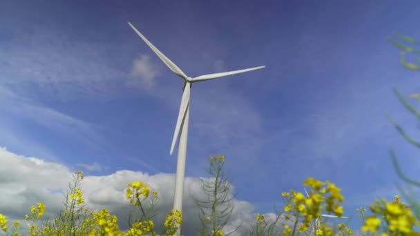 Vista Del Aerogenerador — Vídeos de Stock