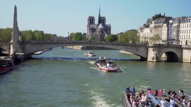 Seine River Cruise Ship Paris Notre Dame Cathedral Background — 비디오