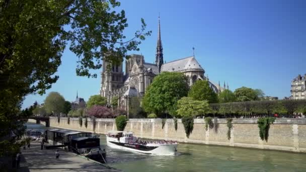 Seine Řeka Výletní Loď Paříži Katedrálou Notre Dame Pozadí — Stock video