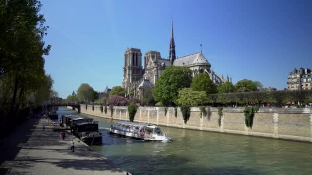 Seine Floden Och Kryssningsfartyg Paris Med Notre Dame Katedralen Bakgrunden — Stockvideo