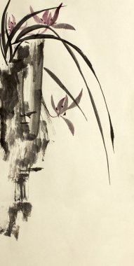 vahşi orkide ve dağ