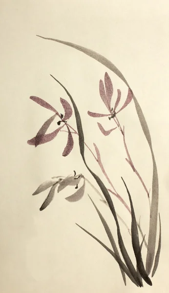 Yabani orkide kolaylığı — Stok fotoğraf