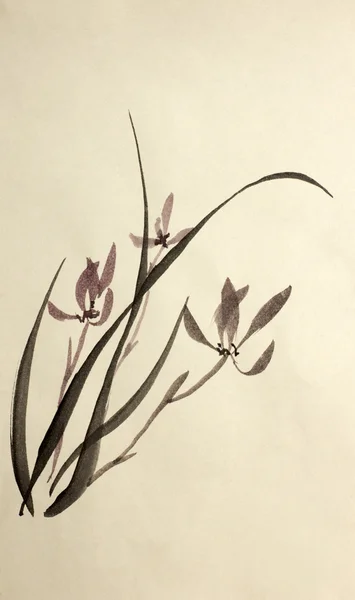 Zeichnung wilder Orchideen — Stockfoto