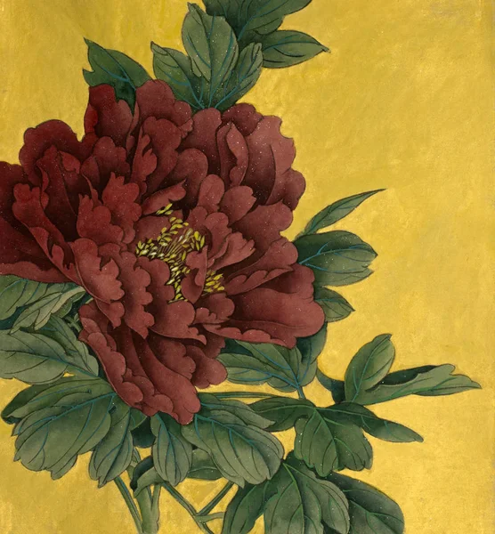 Піонова квітка на золотому фоні — стокове фото