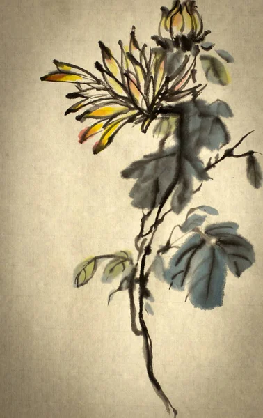 Sárga krizantém virág — Stock Fotó