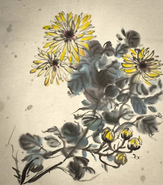 Krysantemum blomma målade i levande stil — Stockfoto