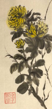 parlak sarı Kasımpatı çiçeği