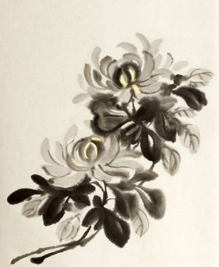 Çin resminin Kasımpatı çiçeği