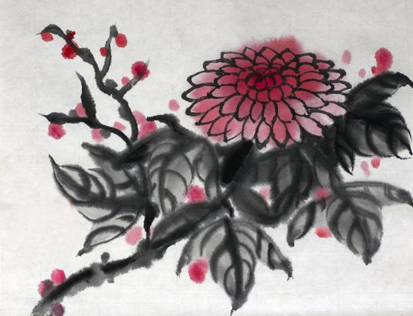 Красный цветок хризантема — стоковое фото