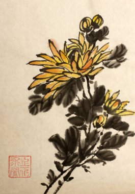 sarı kasımpatı çiçeği