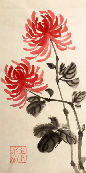 Crisântemo flor vermelha — Fotografia de Stock