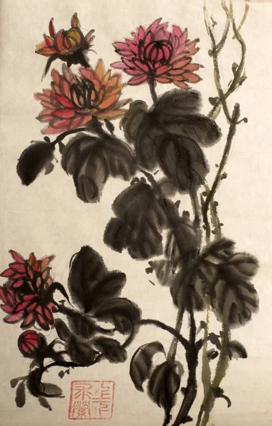 ブッシュの菊の花 — ストック写真