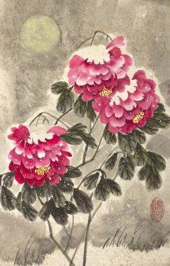 kar altında kırmızı Şakayık