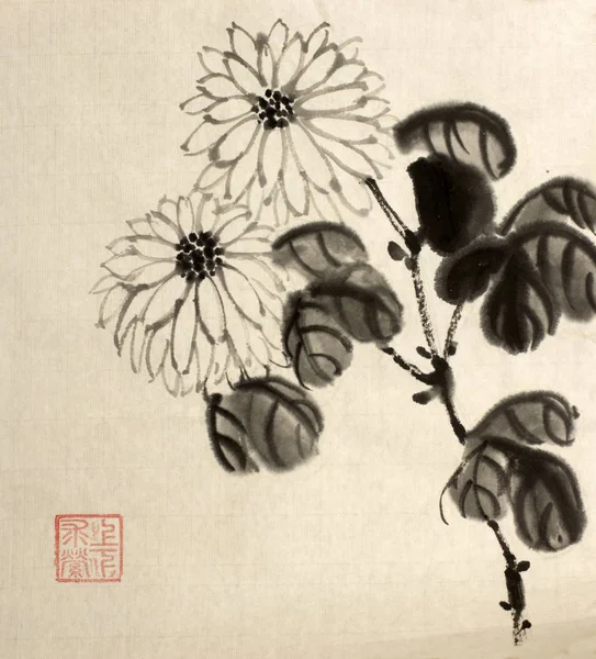 Şube tek renkli krizantem