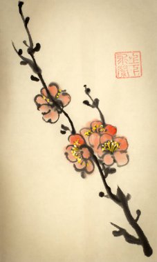 çiçek açması Erik dalı