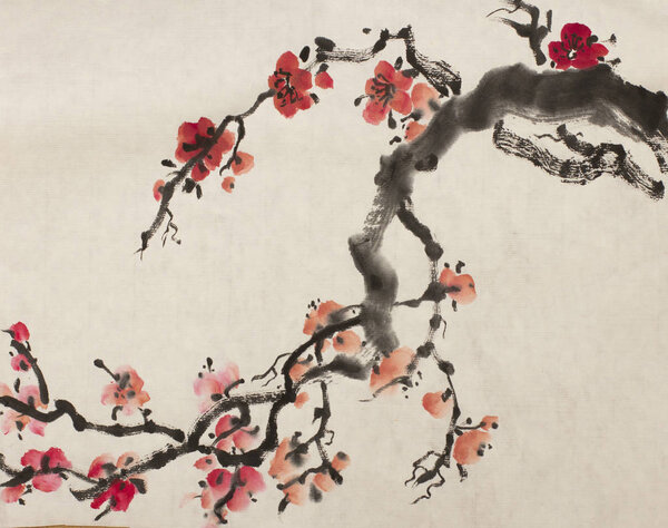 Цветущая ветвь сливы
