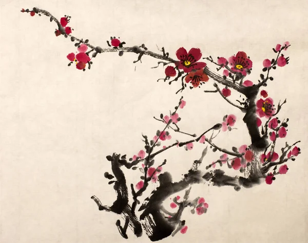 çiçek açması Erik dalı